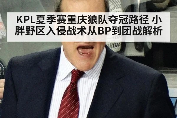 KPL夏季赛重庆狼队夺冠路径 小胖野区入侵战术从BP到团战解析